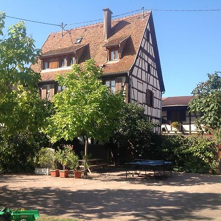 Ferienwohnung La Cour Zaepffel Dambach Exterior foto