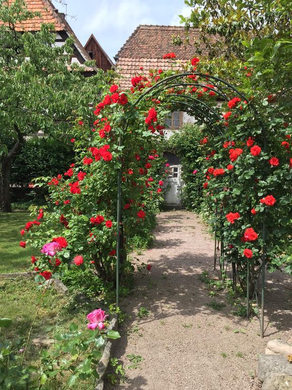 Ferienwohnung La Cour Zaepffel Dambach Exterior foto