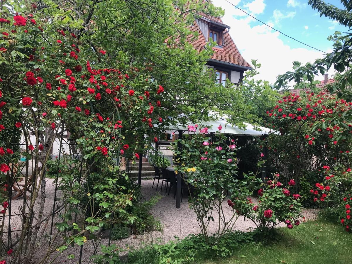 Ferienwohnung La Cour Zaepffel Dambach Exterior foto